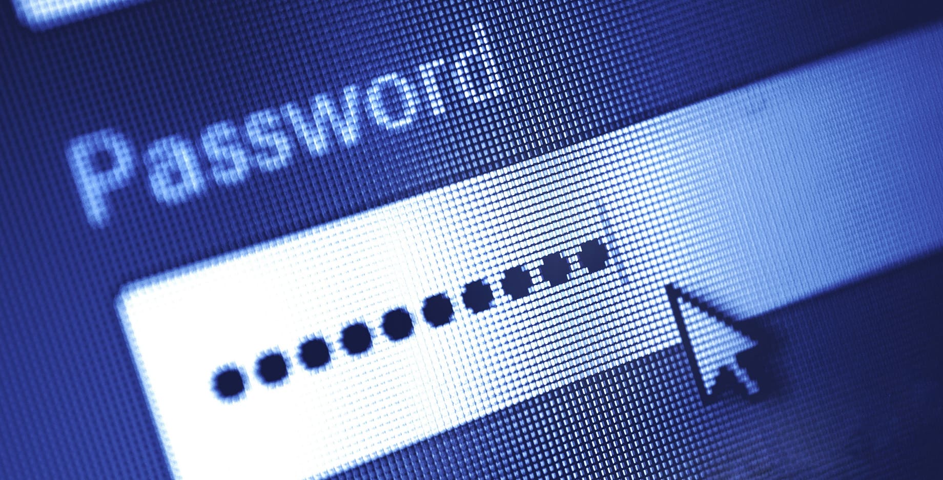 Password box in Internet Browser on Computer Screen